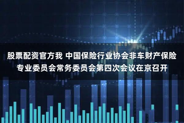 股票配资官方我 中国保险行业协会非车财产保险专业委员会常务委员会第四次会议在京召开