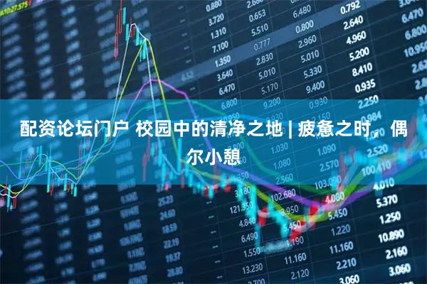 配资论坛门户 校园中的清净之地 | 疲惫之时，偶尔小憩