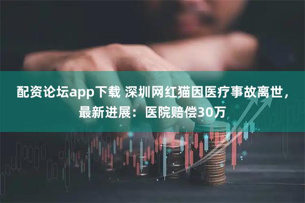 配资论坛app下载 深圳网红猫因医疗事故离世，最新进展：医院赔偿30万