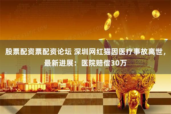 股票配资票配资论坛 深圳网红猫因医疗事故离世，最新进展：医院赔偿30万